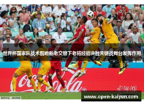 世界杯国家队战术前瞻新老交替下老将经验决胜关键战舞台发挥作用